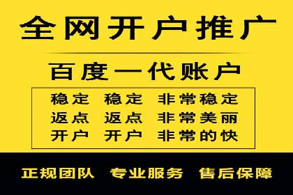 百度推广平台案例剖析：揭秘广告投放策略