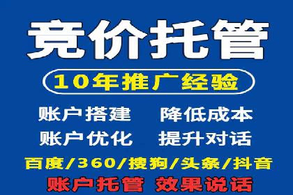百度竞价入门必看：实操技巧与成功案例